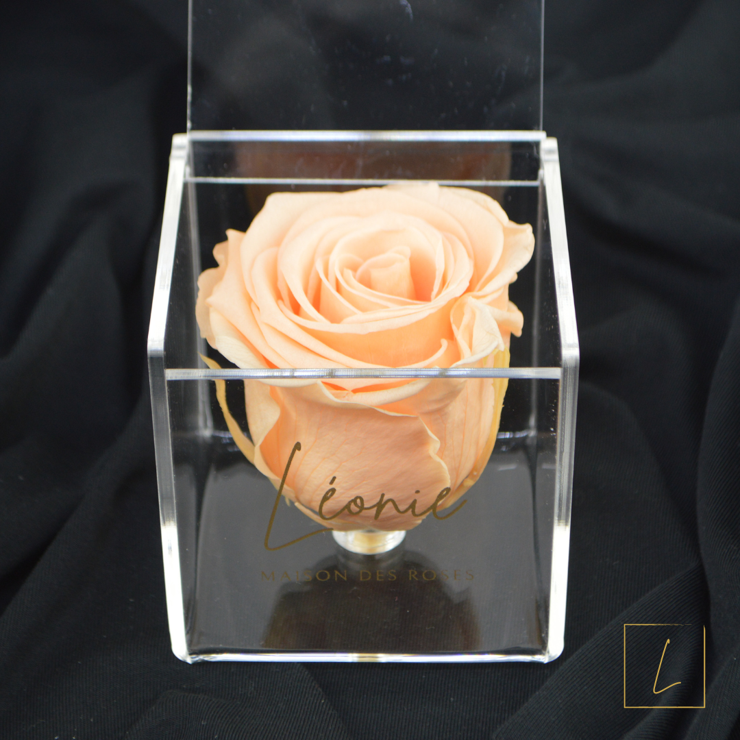 Boite De Rose Eternelle Peach Premium Acrylique à Clapet - Léonie®