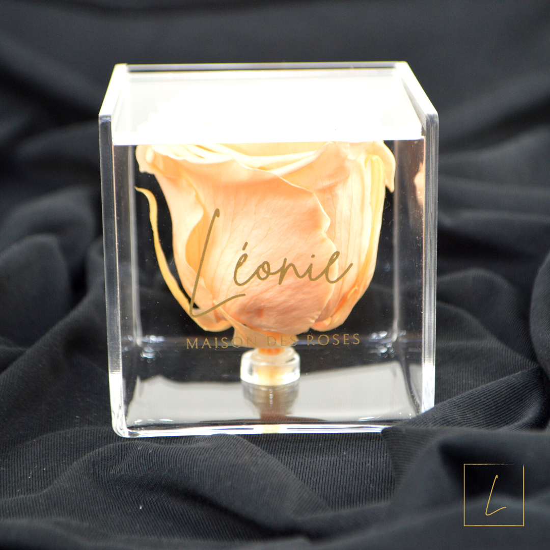 Boite De Rose Eternelle Peach Premium Acrylique à Clapet - Léonie®