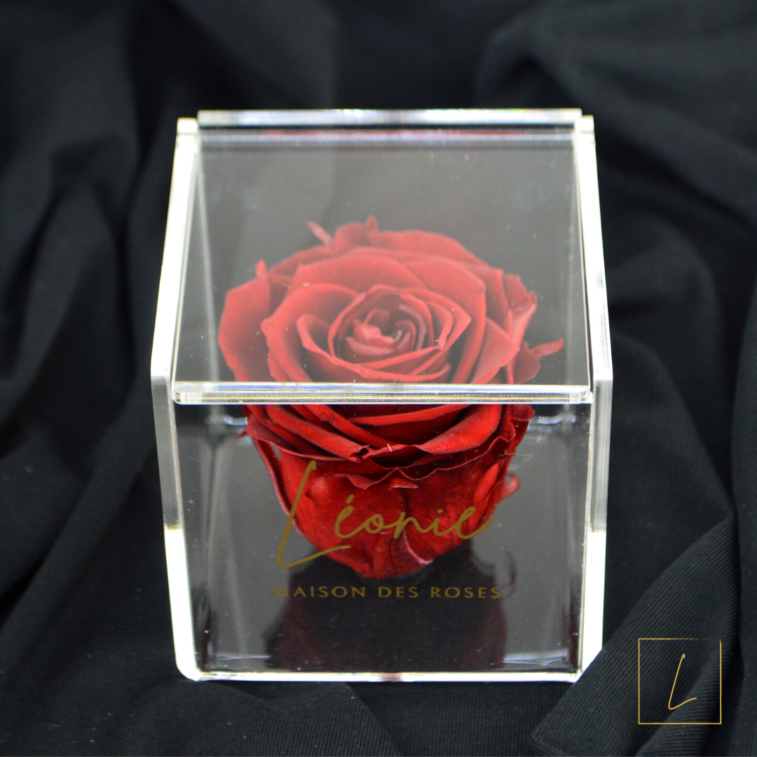 Boite De Rose Eternelle Royal Red Acrylique à Clapet - Léonie®
