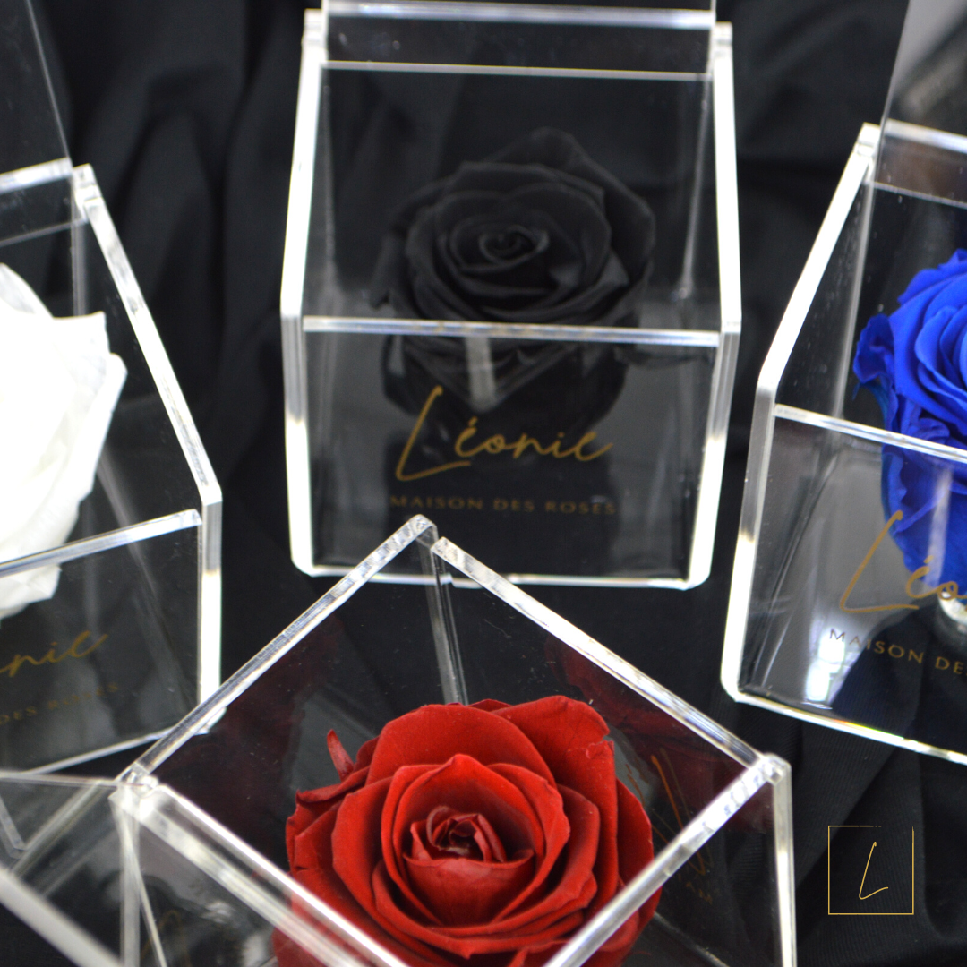 Boite De Rose Eternelle Black Acrylique à Clapet - Léonie®