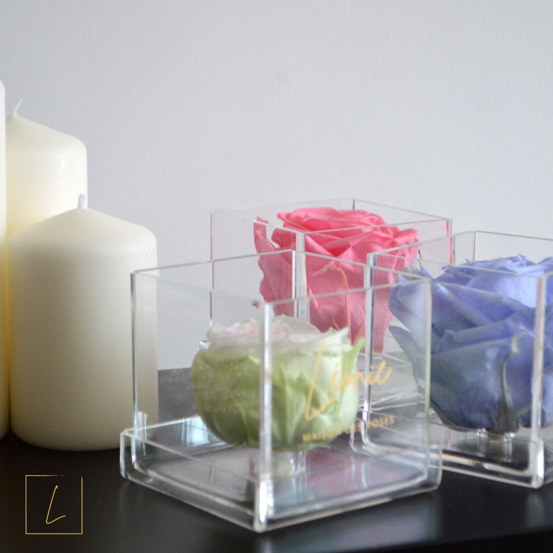 Boite De Rose Eternelle Anglaise Premium Acrylique à Couvercle - Léonie®