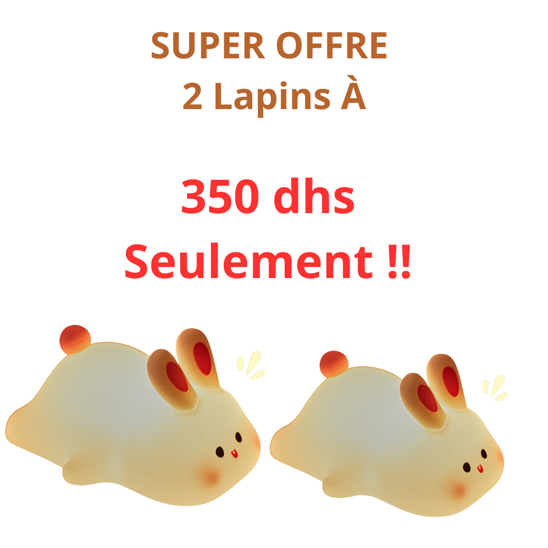 Veilleuse Tactile Rechargeable avec minuteur - Doux Lapin