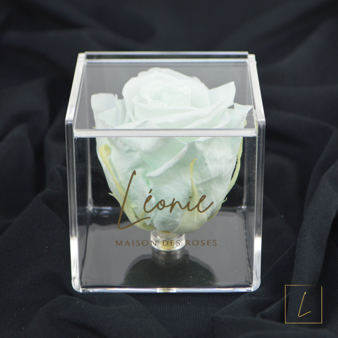Boite De Rose Eternelle Mint Premium Acrylique à Clapet - Léonie®