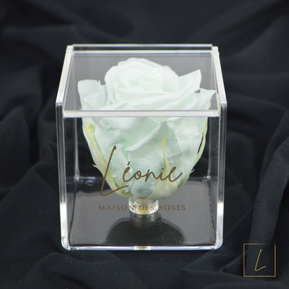 Boite De Rose Eternelle Mint Premium Acrylique à Clapet - Léonie®