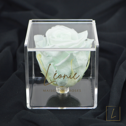 Boite De Rose Eternelle Mint Premium Acrylique à Clapet - Léonie®