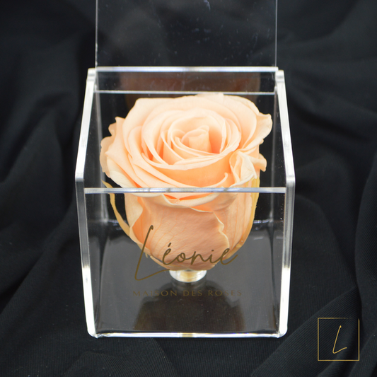 Boite De Rose Eternelle Peach Premium Acrylique à Clapet - Léonie®