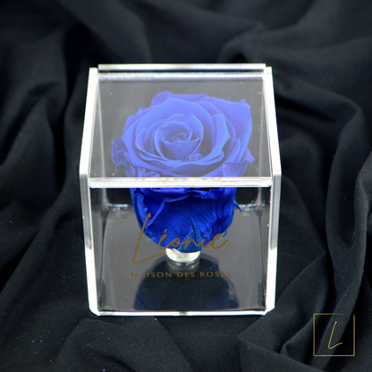 Boite De Rose Eternelle Ocean Blue Premium Acrylique à Clapet - Léonie®