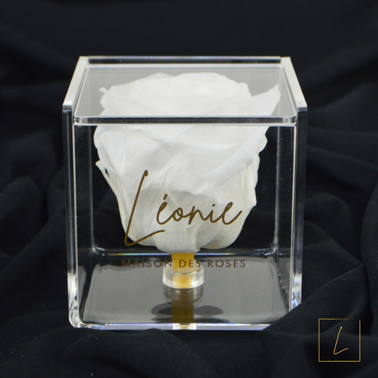 Boite de Rose Eternelle Pure White Acrylique à Clapet - Léonie®
