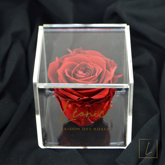 Boite De Rose Eternelle Royal Red Acrylique à Clapet - Léonie®