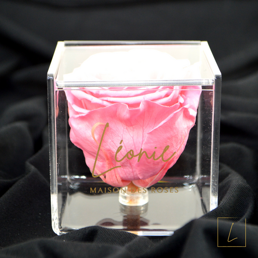 Boite De Rose Eternelle Baby Pink Premium Acrylique à Clapet - Léonie®
