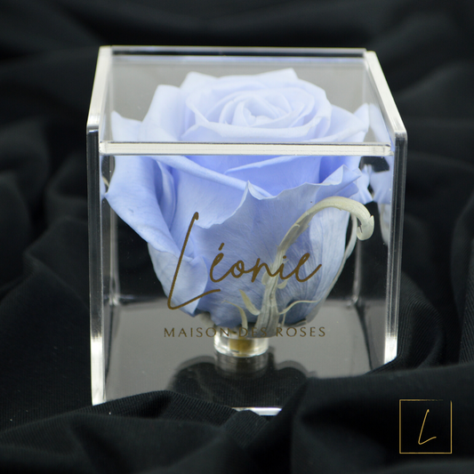 Boite De Rose Eternelle Lavender XXL Premium En Acrylique à Clapet - Léonie®