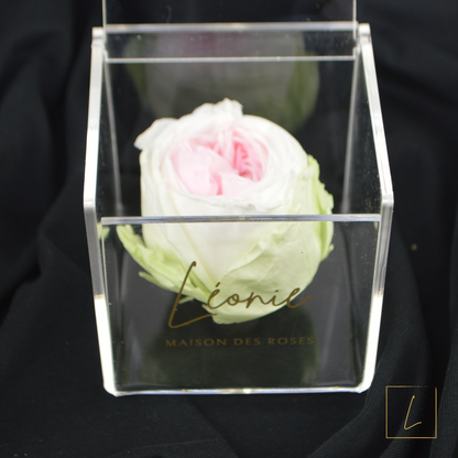 Boite de Rose Eternelle Anglaise Premium Acrylique à Clapet - Léonie®