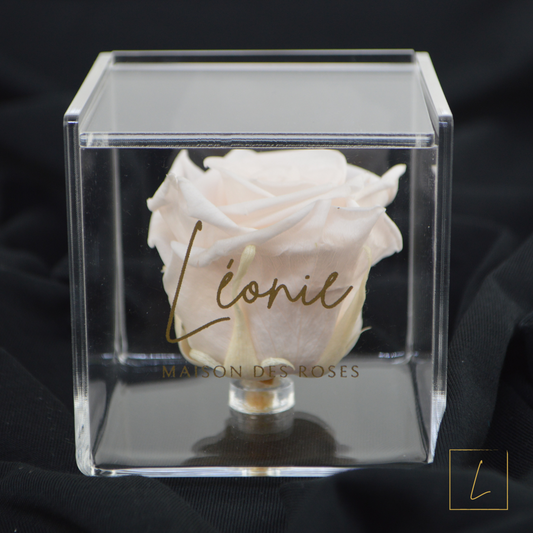 Boite De Rose Eternelle Pink Blush Premium Acrylique à Clapet - Léonie®