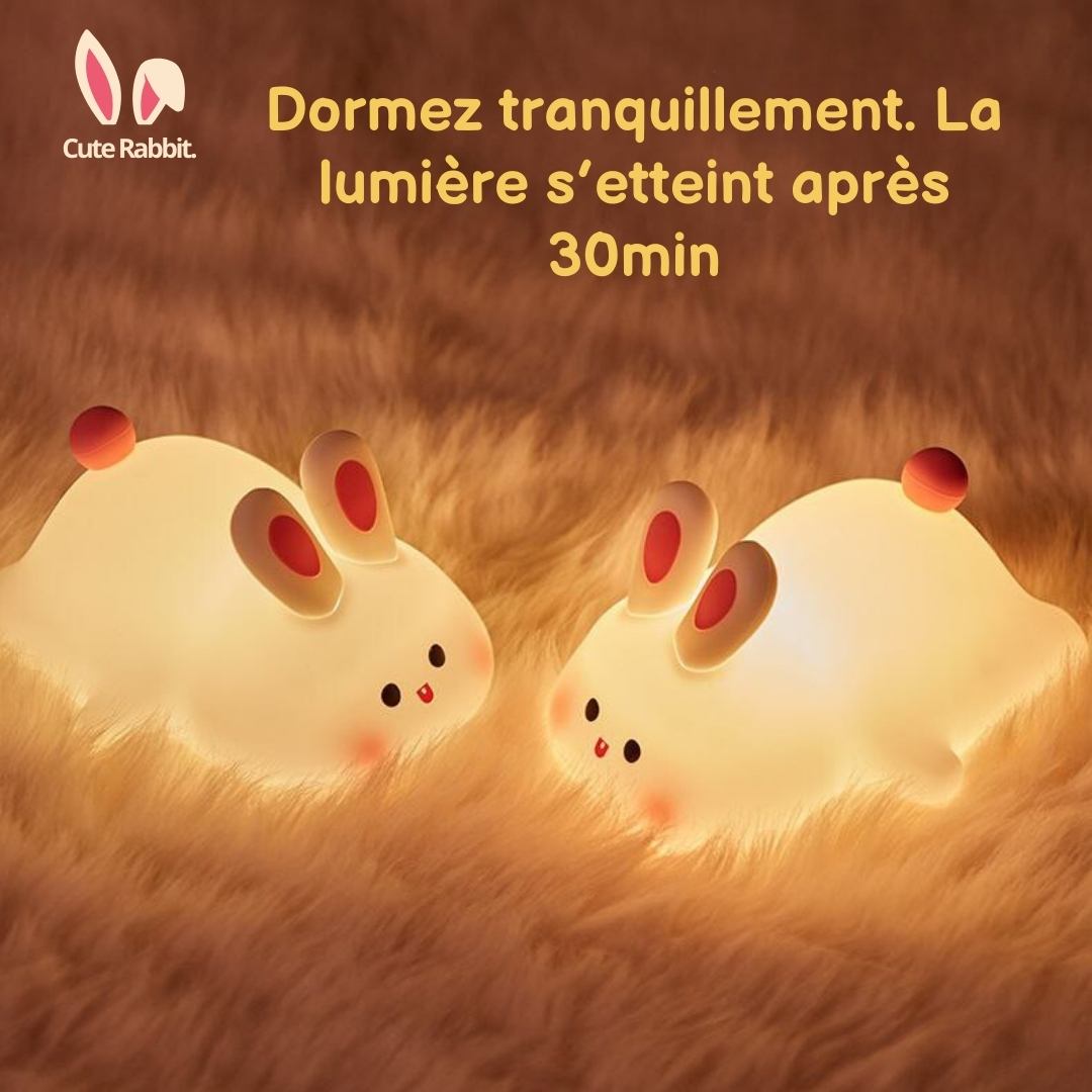 Veilleuse Tactile Rechargeable avec minuteur - Doux Lapin