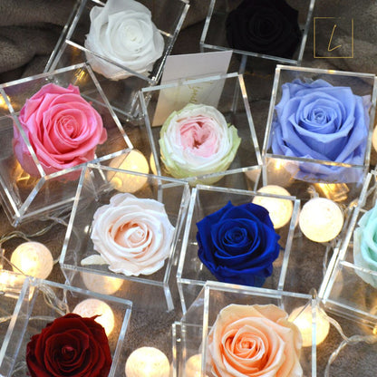 Boite De Rose Eternelle Ocean Blue Premium Acrylique à Clapet - Léonie®