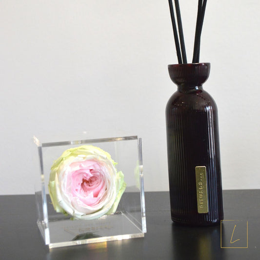 Boite De Rose Eternelle Anglaise Premium Acrylique à Couvercle - Léonie®