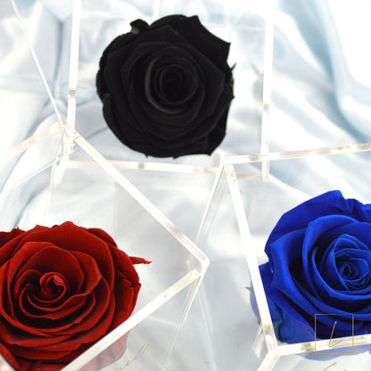 Boite De Rose Eternelle Royal Red Acrylique à Clapet - Léonie®