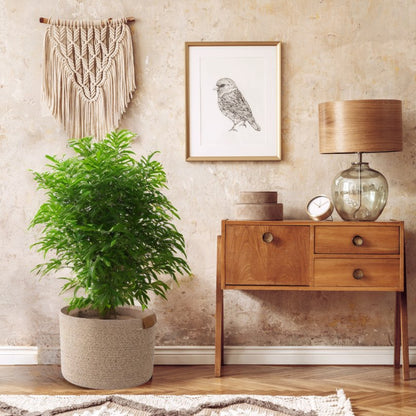 Sets de 2 et 3 Paniers de Rangement Boho - Greige