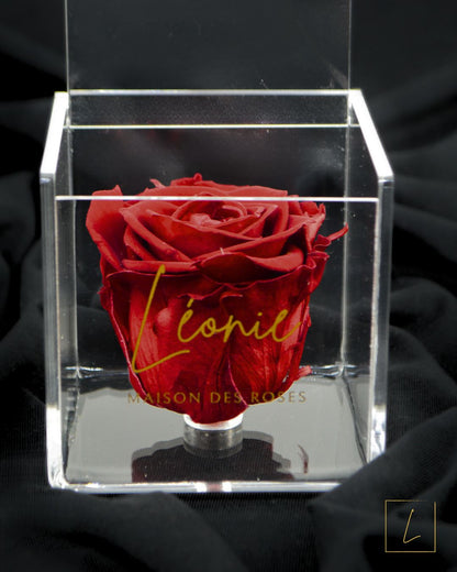 Boite De Rose Eternelle Royal Red Acrylique à Clapet - Léonie®