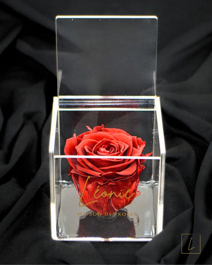 Boite De Rose Eternelle Royal Red Acrylique à Clapet - Léonie®