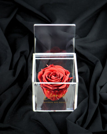 Boite De Rose Eternelle Royal Red Acrylique à Clapet - Léonie®