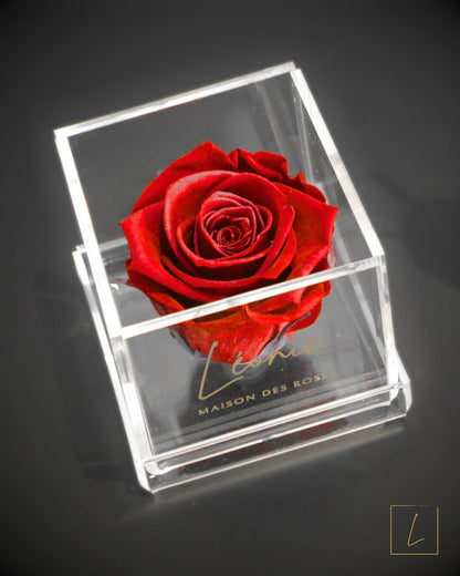 Boite De Rose Eternelle Royal Red En Acrylique à Couvercle - Léonie